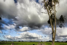 What is crypto rebate? How does it work?