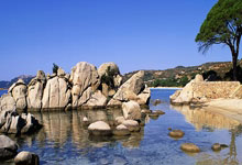 Websea合约保险是什么？